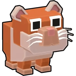 Guinea Pig