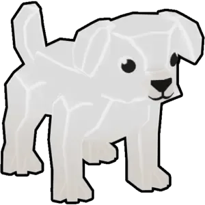 Bichon Frise