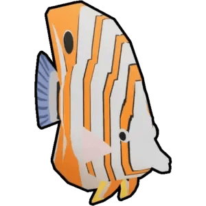Butterfly Fish