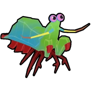 Mantis Shrimp