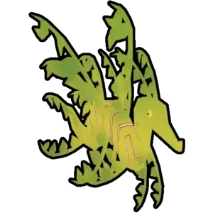 Leafy Sea Dragon