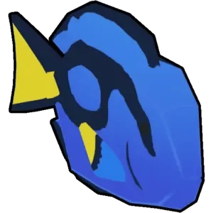 Surgeon Fish