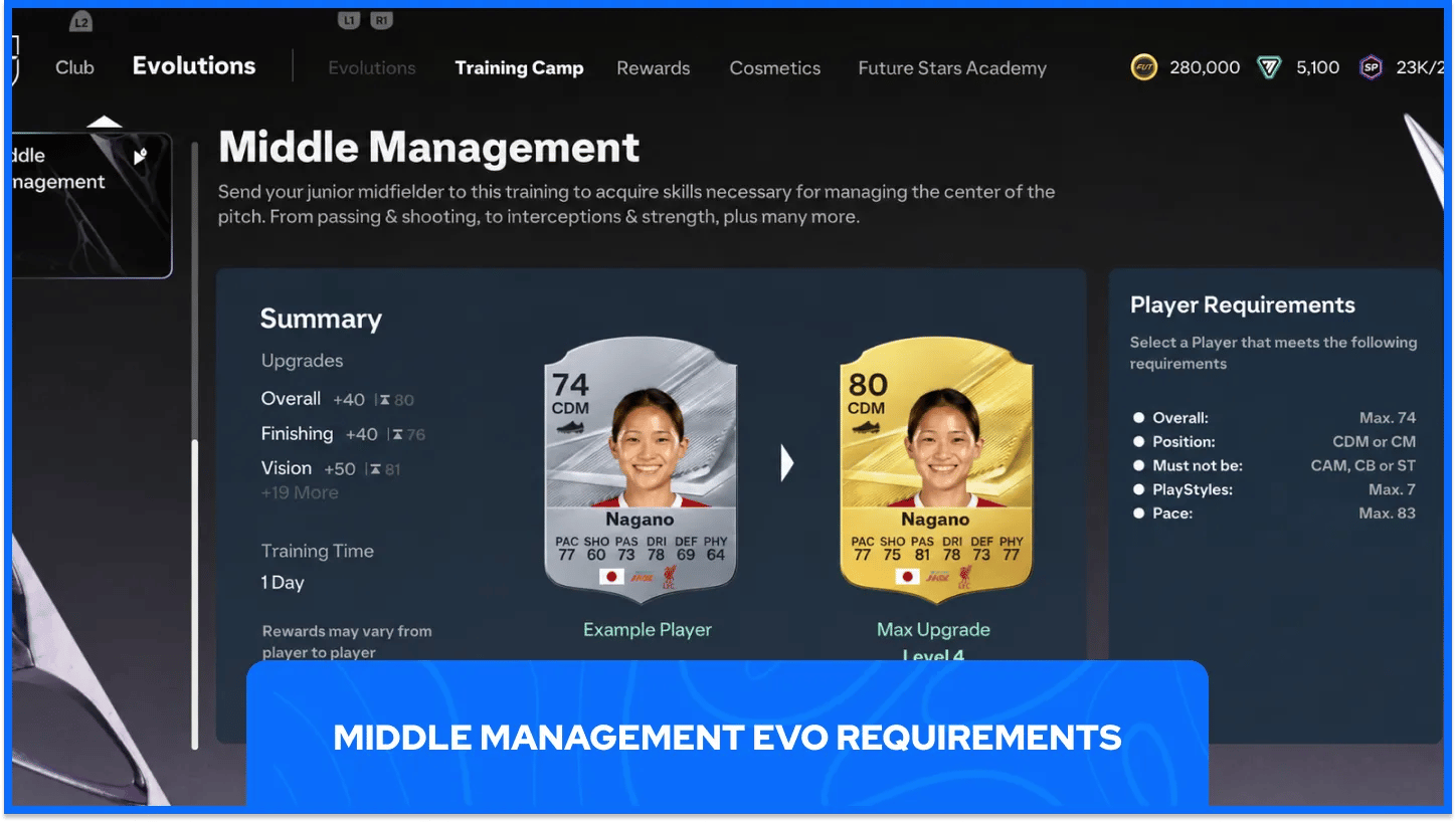 Middle Management EVO 