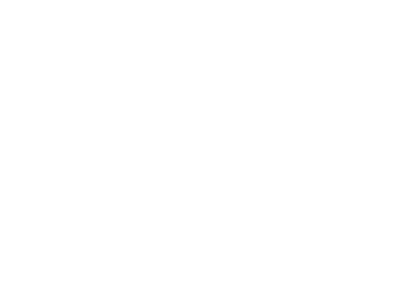 virgin-mobile