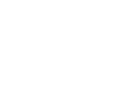 Wolt