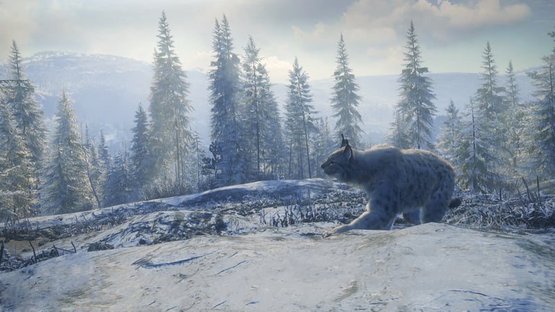 Game artwork 1