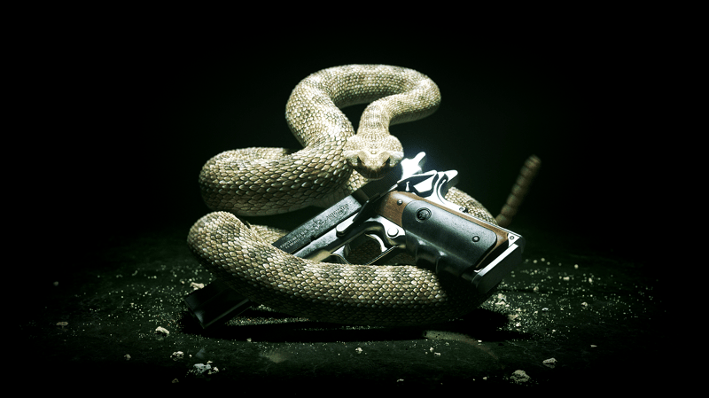 Game artwork 5
