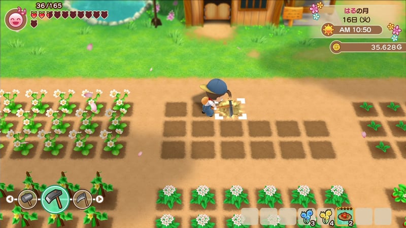 Game screenshot 3