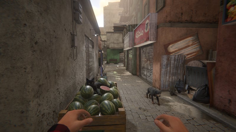 Game screenshot 5