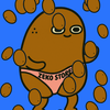 Zeko