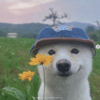DoggieGaming