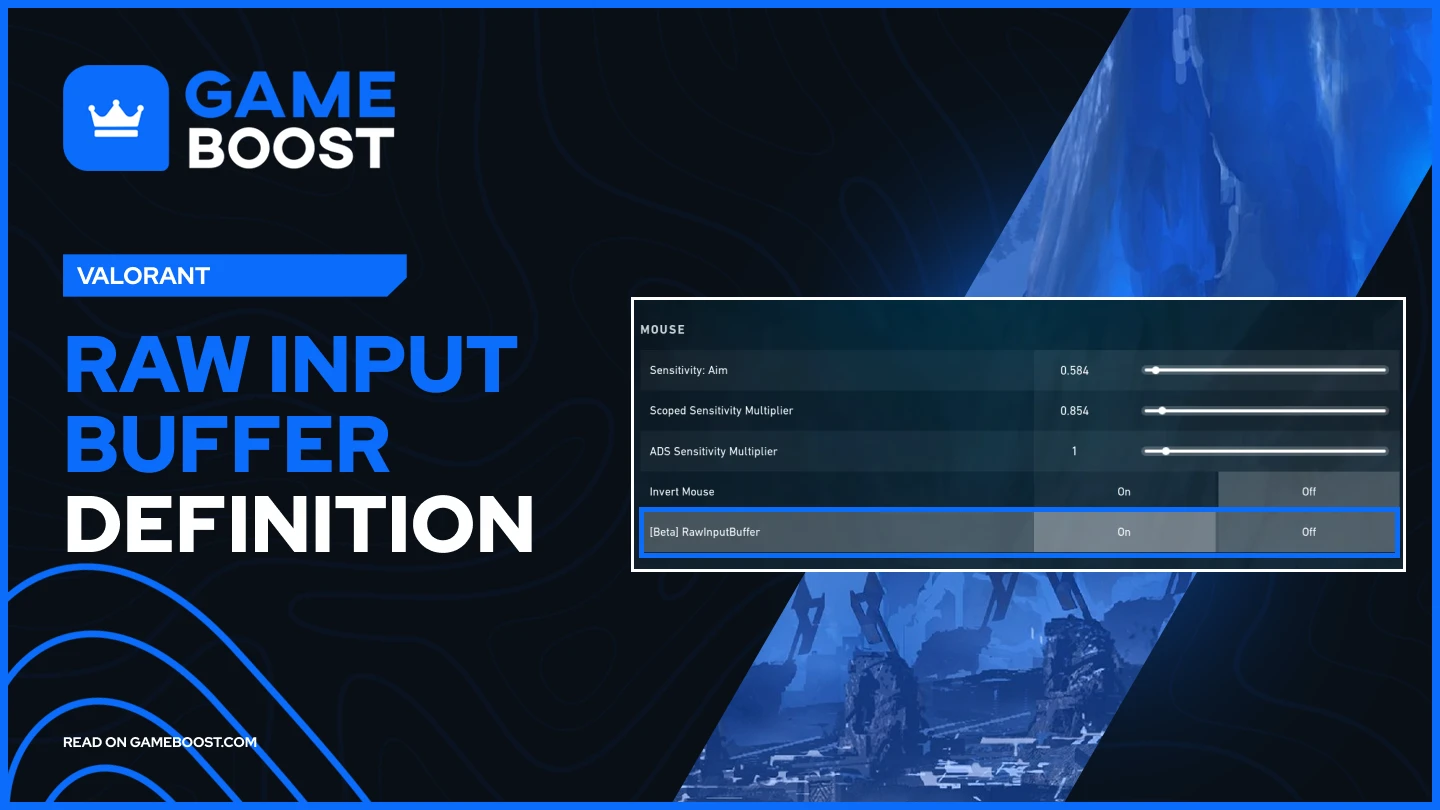 raw input buffer definition
