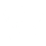 temple Pyrotechnics ability icon