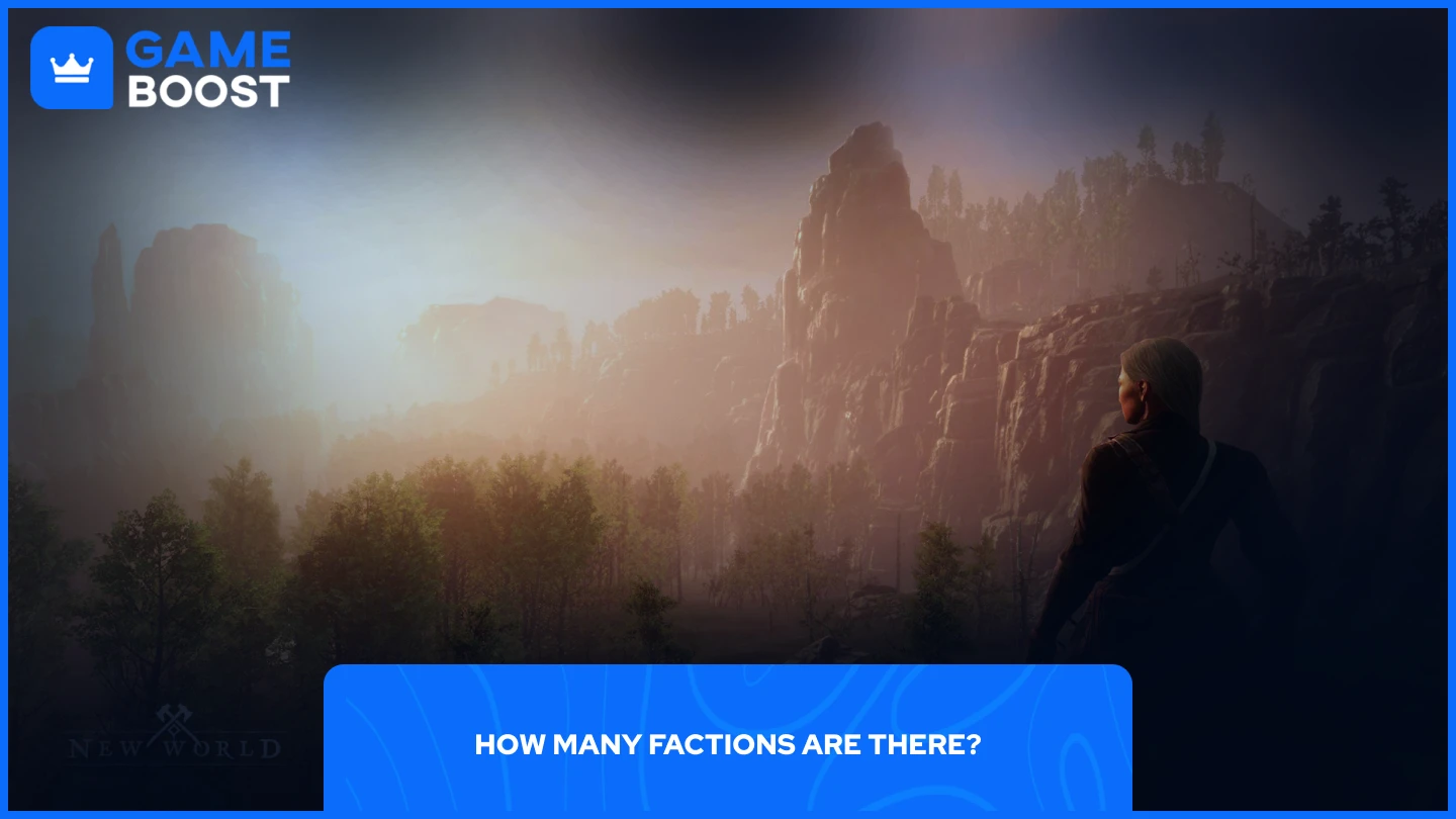 a picture of a player looking at the sunset