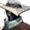 Uploaded image