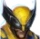 Wolverine - Deadpool & Wolverine