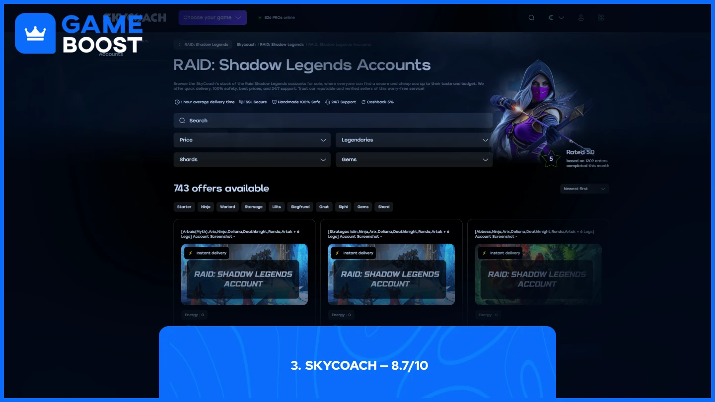skycoach raid shadow legends accounts page