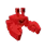 Crab