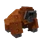Orangutan