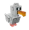 Seagull