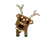 Spotted Deer