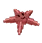 Starfish