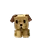 Uploaded image