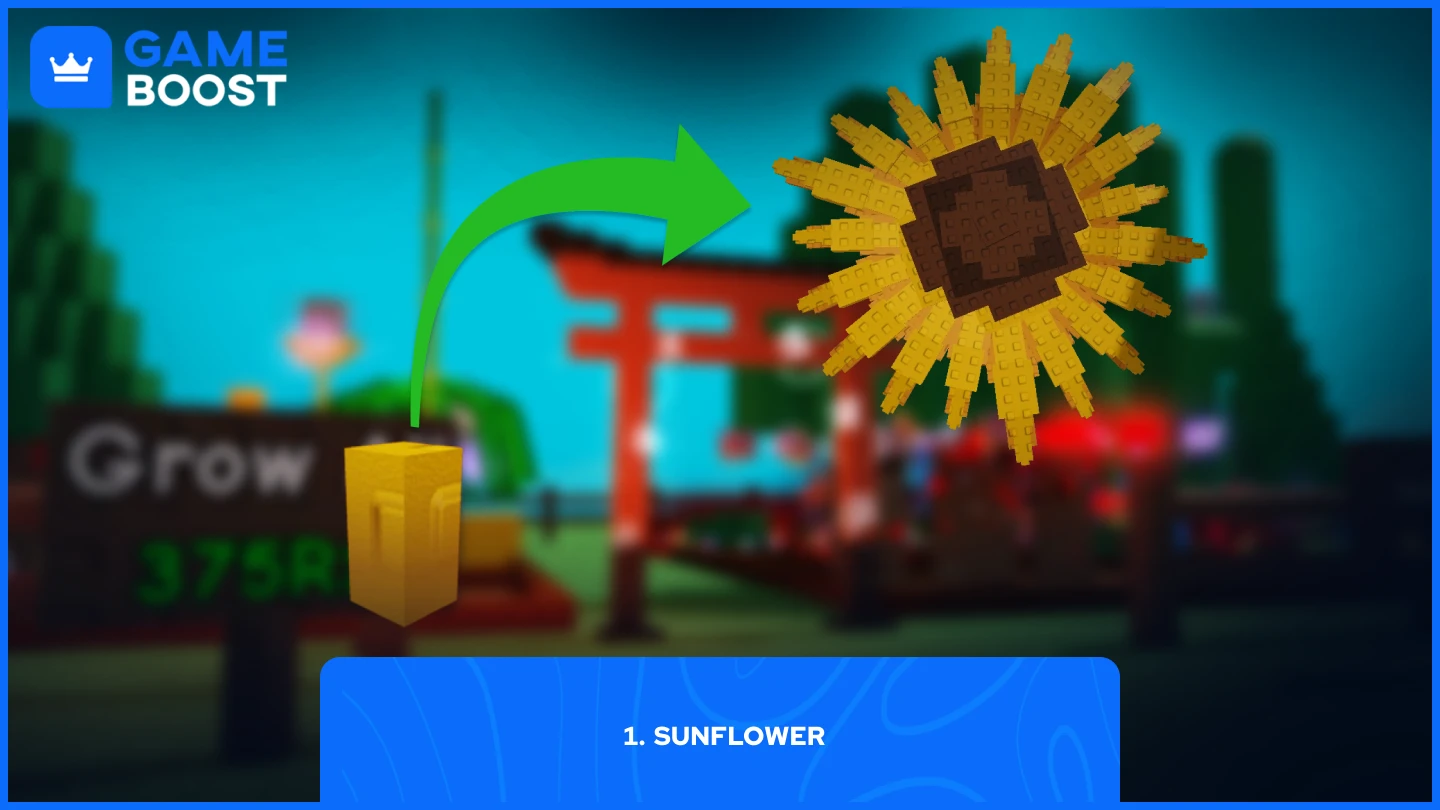a picture of the sunflower seed & plant
