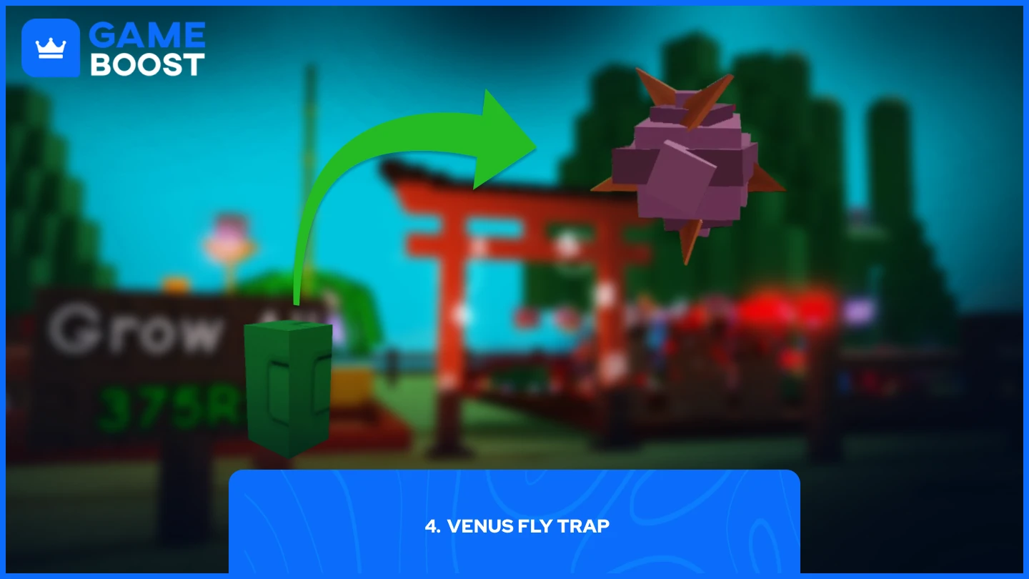 a picture of the The Venus Fly Trap seed & plant