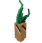 曼德拉草