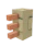 Amber Spine