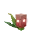Flare Melon