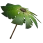 Palm Leaf