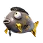 Midas Flopper