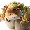 Meowtooth