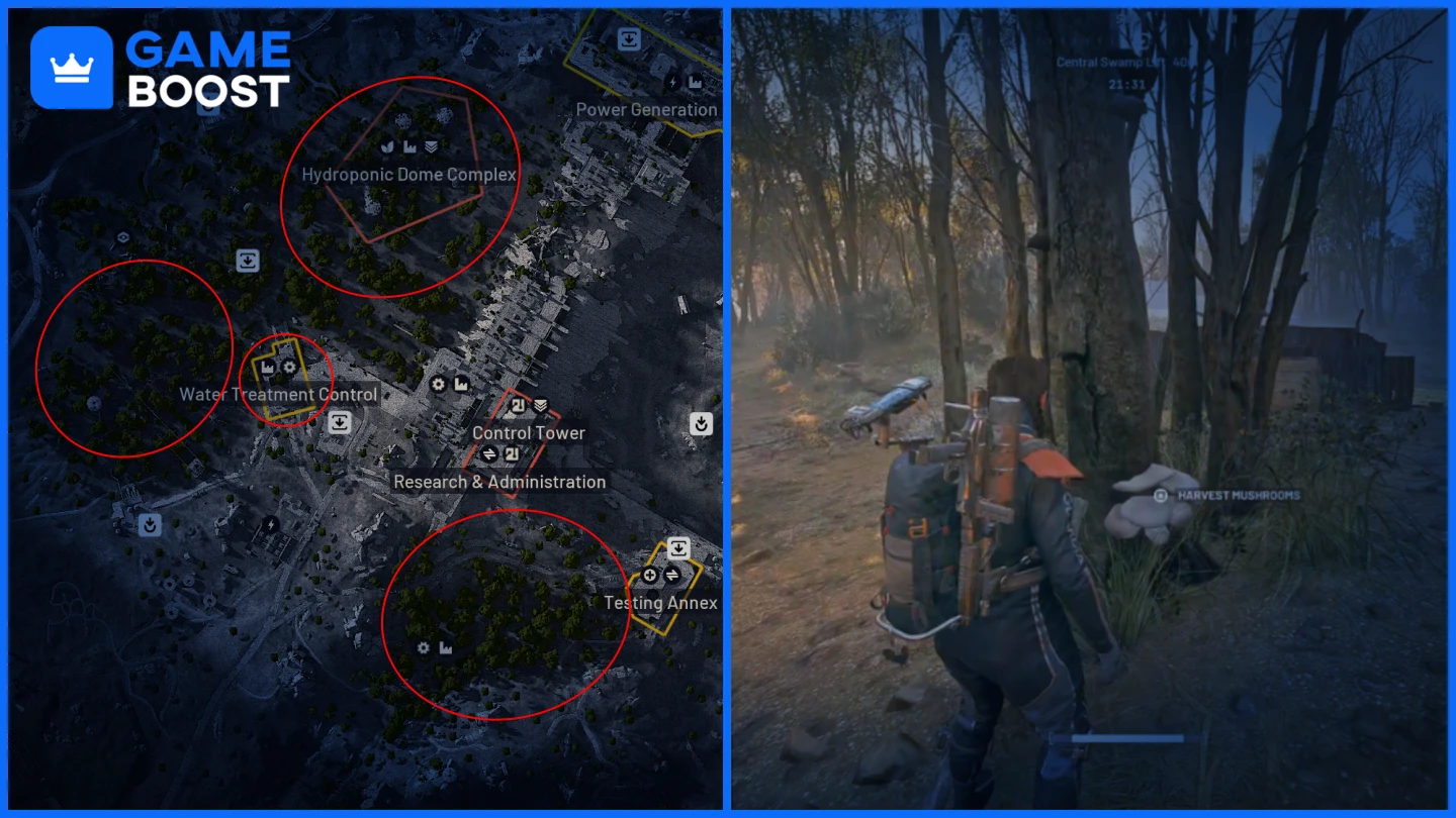 снимка на местоположение на гъби в Dam Battlegrounds