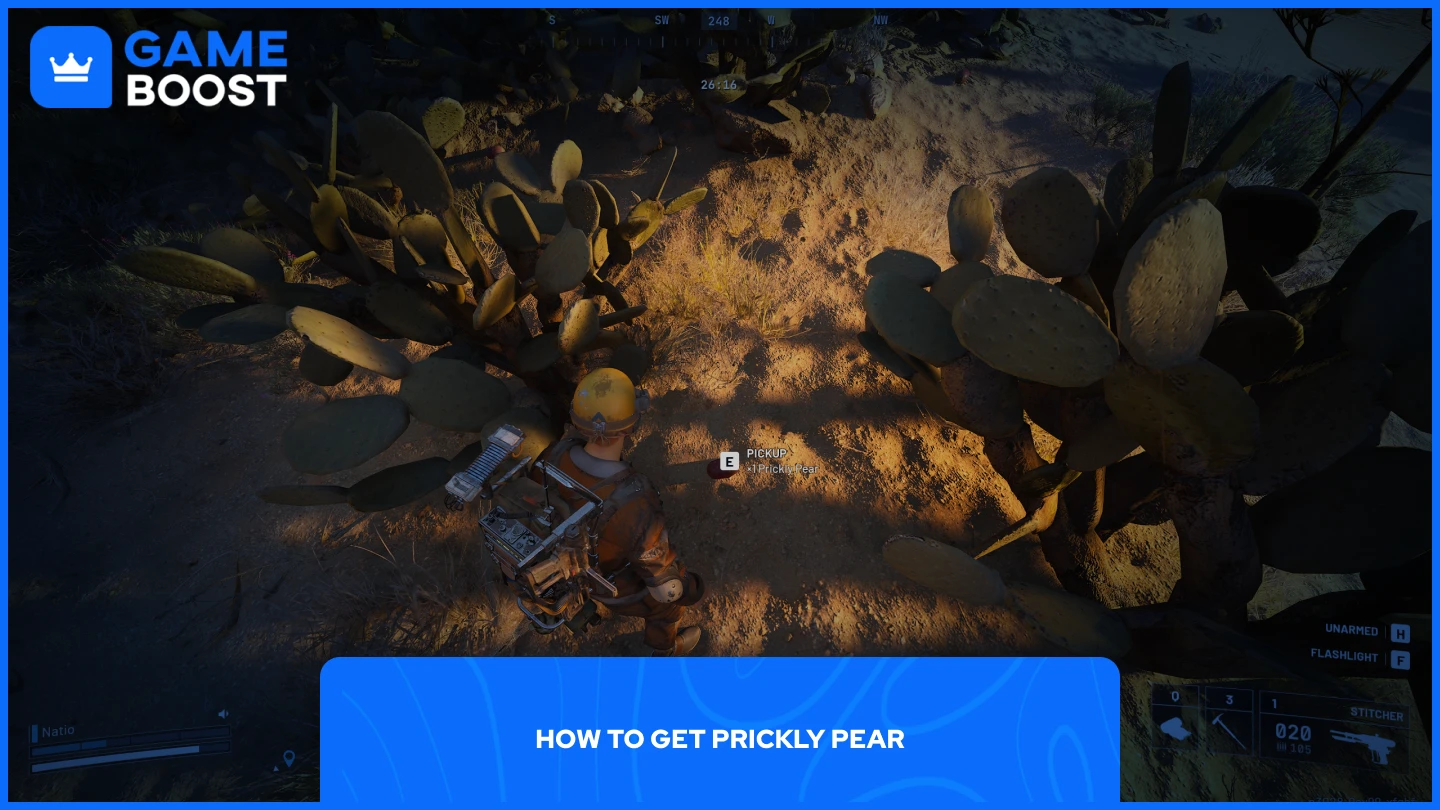 et billede af en prickly pear på jorden