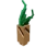 Mandrake 