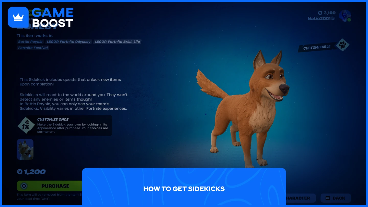 a picture of Bonesy sidekick in fortnite