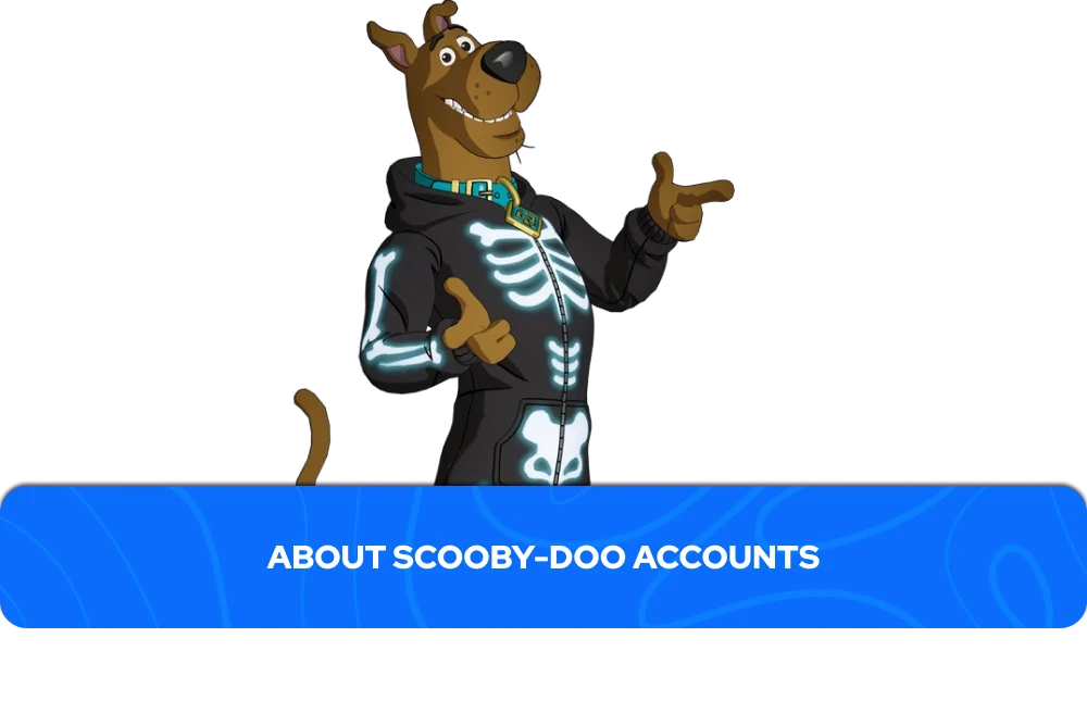 about Scooby-Doo accounts banner