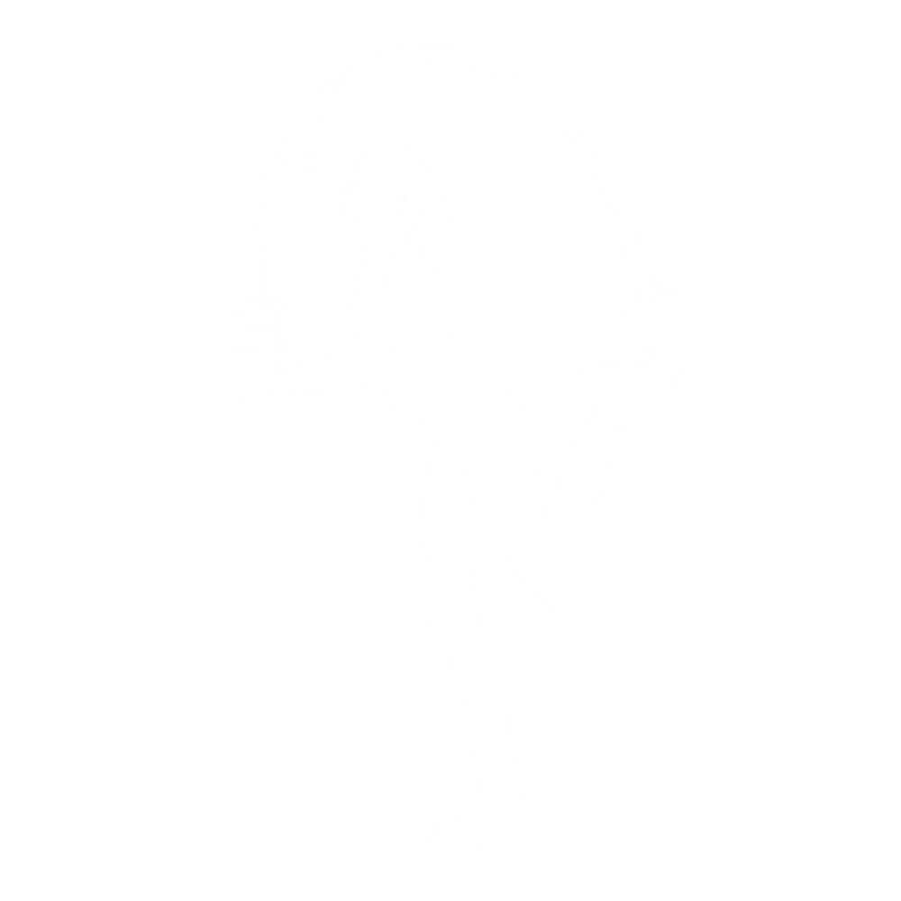 Fortnite Slurp the Internet Emote