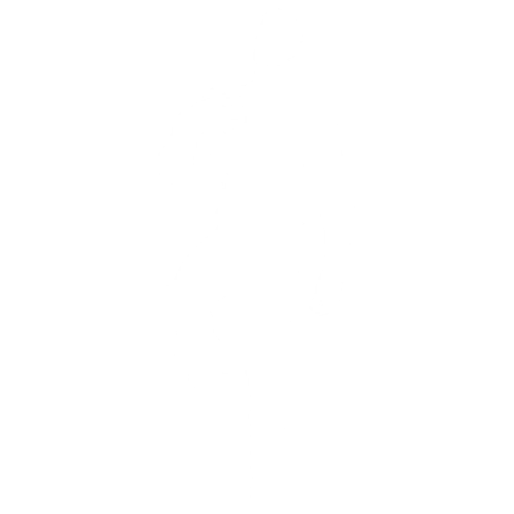 Fortnite the Tylil dance emote