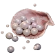 1800 Echo Beads