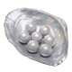 300 Echo Beads
