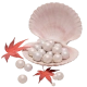 3000 Echo Beads