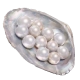 600 Echo Beads