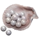 900 Echo Beads