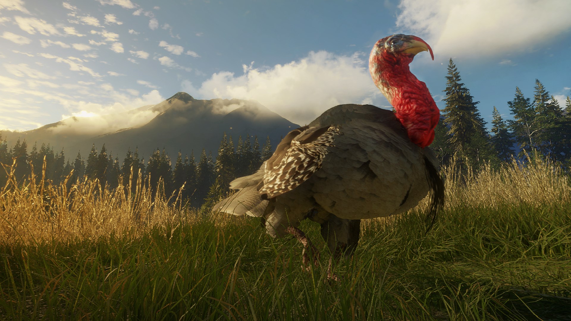 Game artwork 5