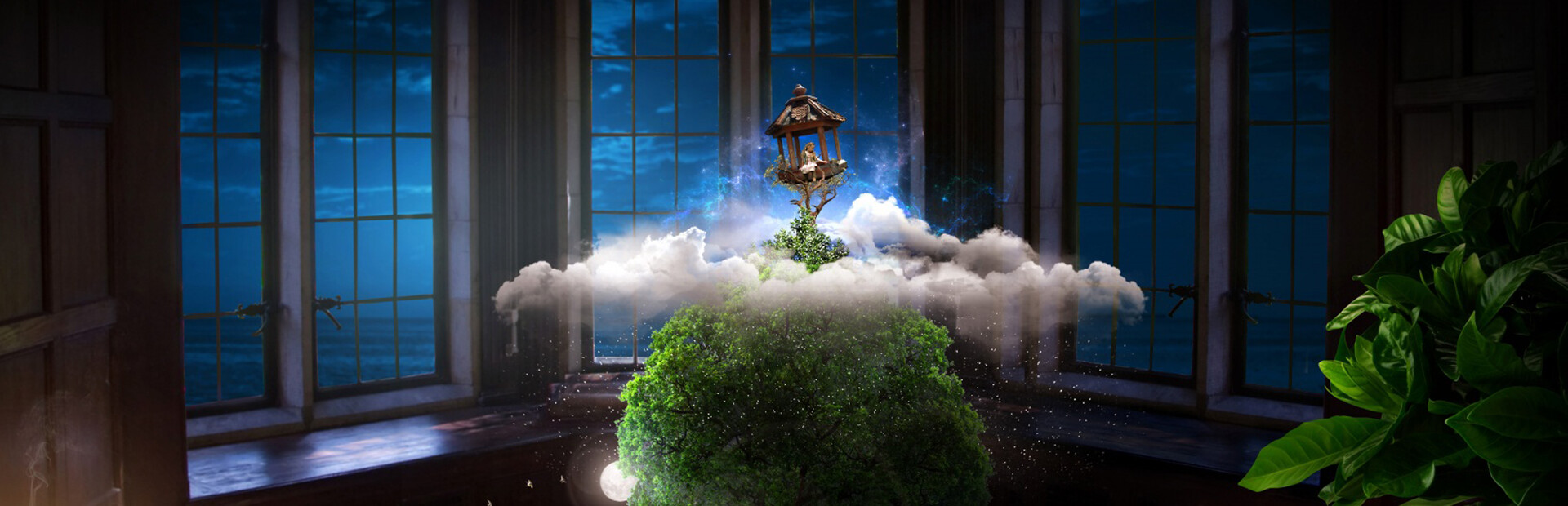 Banner