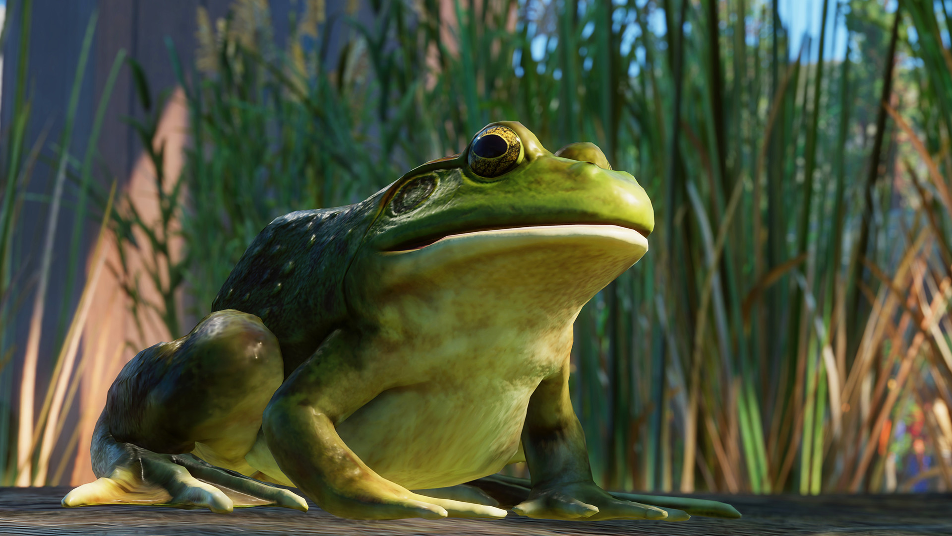 Game screenshot 4